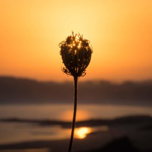 Lever de soleil en Bretagne, France