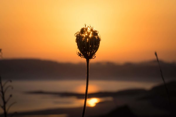 Lever de soleil en Bretagne, France