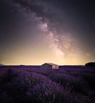 Voie lactée au dessus des champs de lavande du plateau de Valensole